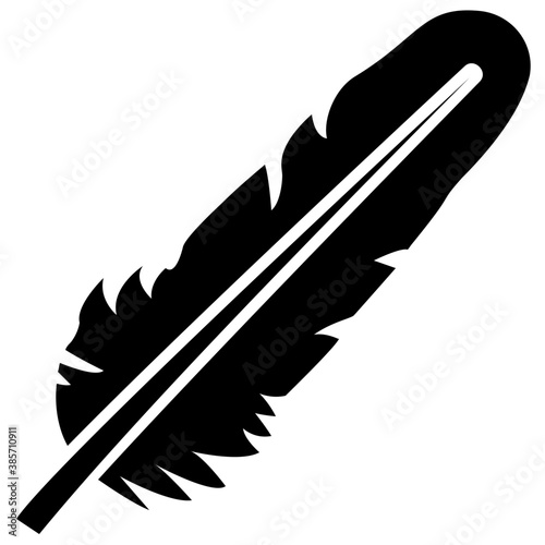 
A bird leaf in black color known as tail feather 
