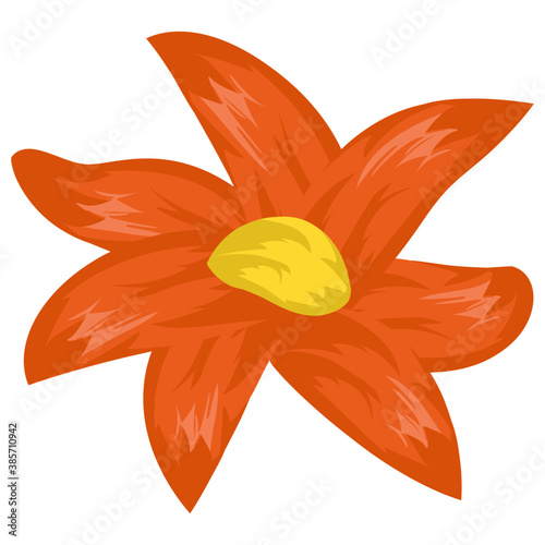 
A beautiful aster flower flat icon design 
