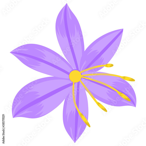 
A beautiful aster flower flat icon design 
