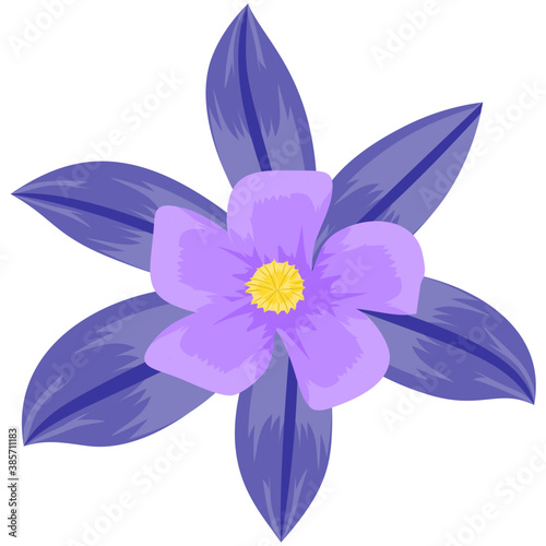 
A beautiful aster flower flat icon design 
