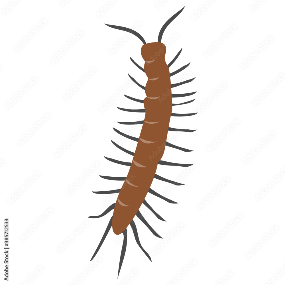 Icon of a small insect having small legs, centipede Icon of a small insect having small legs, centipede