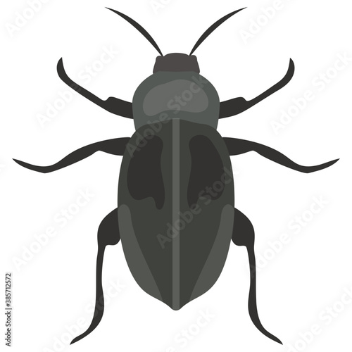 
Stag beetle with two arms containing sting
