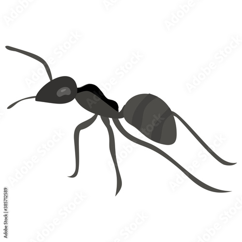 
A small insect having small legs depicting ants
