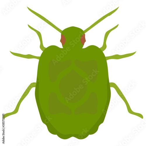 
Stag beetle with two arms containing sting
