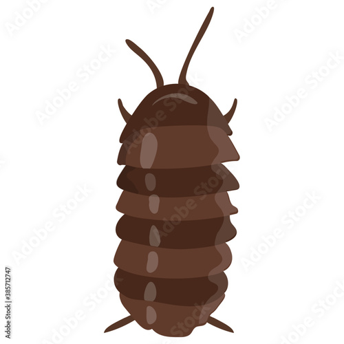 
Stag beetle with two arms containing sting
