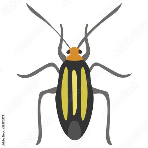 
Stag beetle with two arms containing sting
