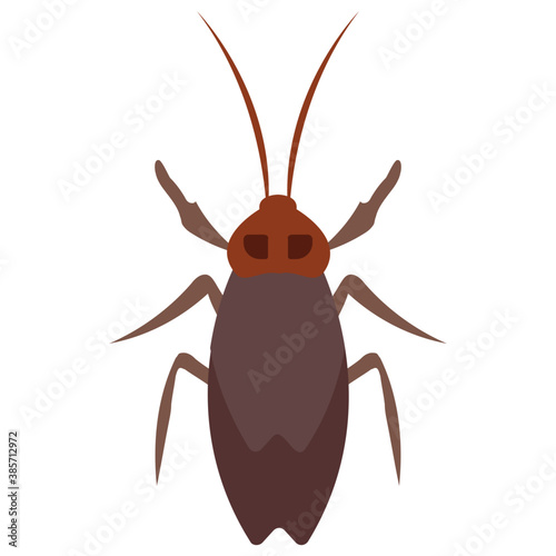 
A insect having legs with depicting beetle 
