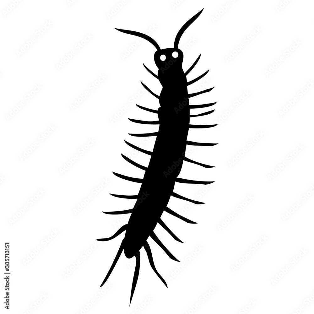 Round shape face with eyes and wings, known as caterpillar
Round shape face with eyes and wings, known as caterpillar