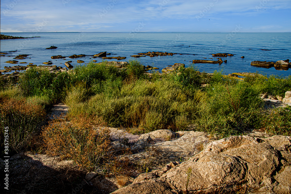 Берег Каспия