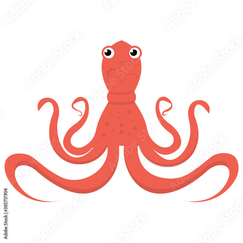  Octopus, a cephalopod mollusc with eight sucker-bearing arms, a soft sack-like body 