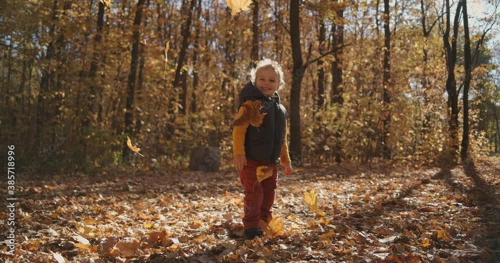 A little smiling curly boy watches the leaf-drop while standing in an autumn park. Watch the falling leaves fall in the sun in slow motion A little smiling curly boy watches the leaf-drop while standing in an autumn park. Watch the falling leaves fall in the sun in slow motion