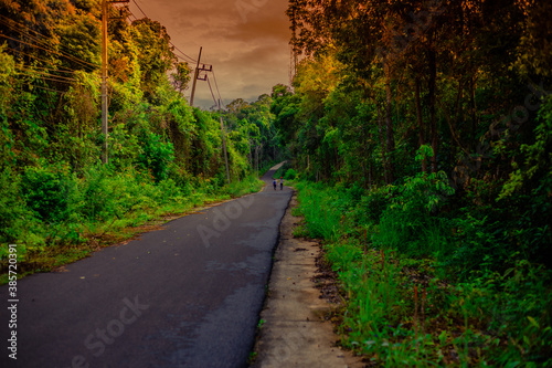 Natural background, high angle from the high mountains that can see the scenery around, the wind blows through the cool, blurred of traveling, the integrity of the moist forest.