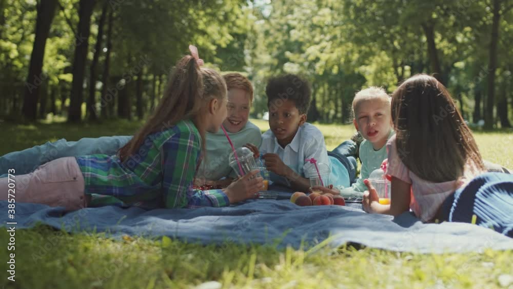 Medium tracking of five male and female school friends laying down on blanket on grass, drinking juice from plastic glasses with straws, eating fruit, talking and smiling Medium tracking of five male and female school friends laying down on blanket on grass, drinking juice from plastic glasses with straws, eating fruit, talking and smiling