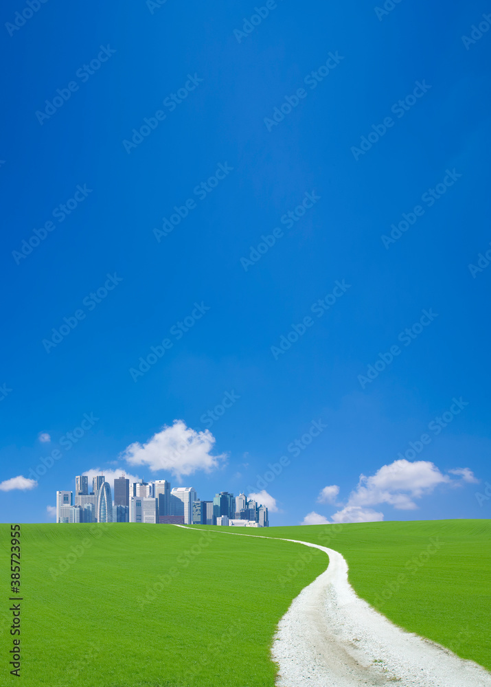 Fototapeta premium 丘の向こうの高層ビル街へ続く道