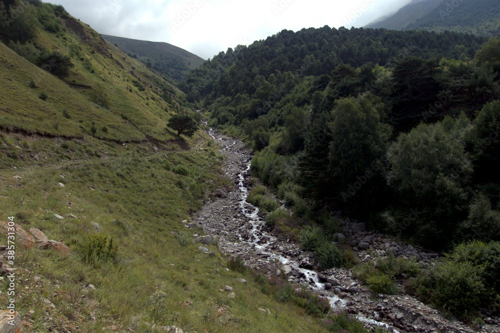 Alpine river stream. Caucasus, Russia.