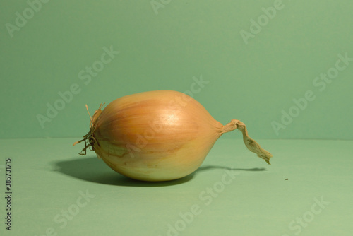 onion on green background