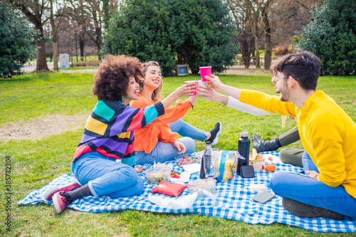 Group of friends multiethnic toasting having picnic outdoor