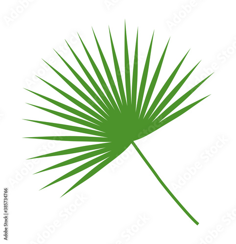 Fountain palm leaf. Isolated on white background. Vector illustration.