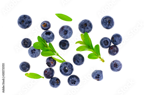 Bunch of garden sweet ripe blueberries isolated on white background
