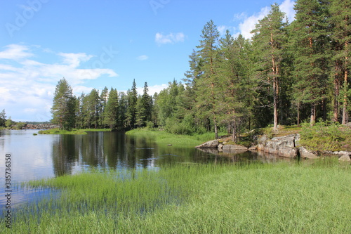 Scenic Nature in Sweden