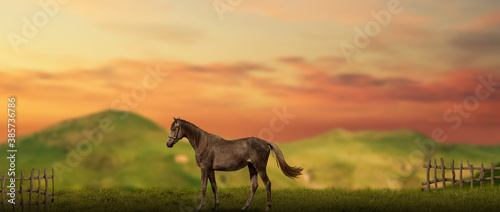 Obraz na plátně horse in green fields and mountains landscape.