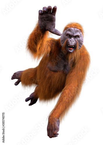 3D Rendering Orangutan on White