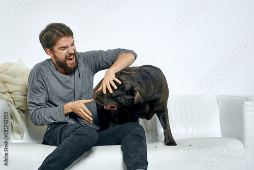Happy man and dog on the couch In a bright room pet is a friend of man © SHOTPRIME STUDIO