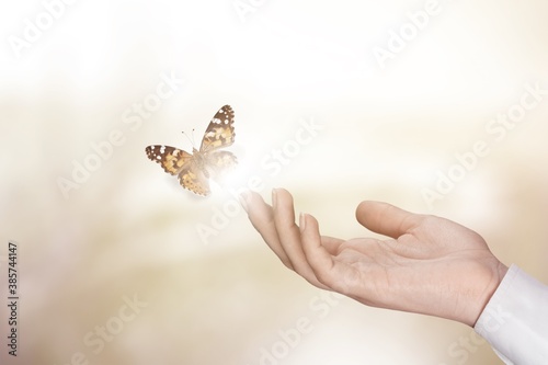 Foto Butterfly.