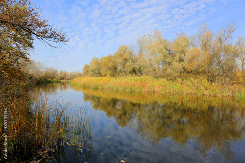 Fototapeta Naklejka Na Ścianę i Meble -  Autumn day on lake