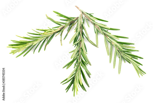 Rosemary isolated on white background 