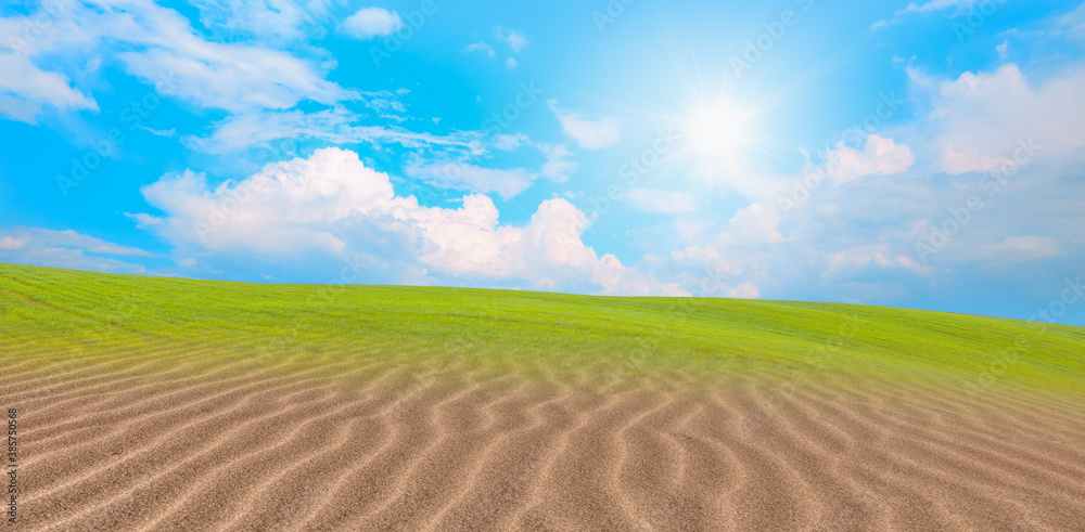 Obraz premium Global warming concept - Green grass field with desert of sand dune 