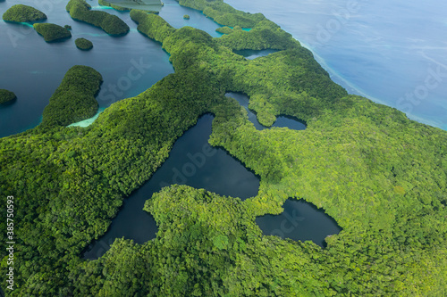 Aerial view of Marine Lakes in Palau's UNESCO World Heritage Site