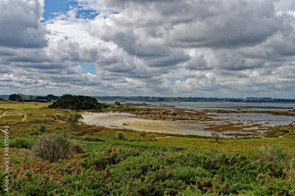 Paysage de l'île Callot, Carantec, Finistère, Bretagne, France

