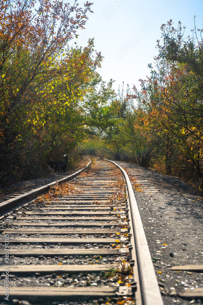 Fototapeta premium Autumn scene with old rusty railway