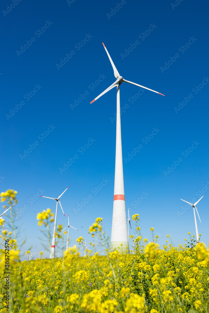 Windkraftanlage vor einem Rapsfeld