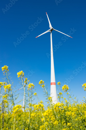 Windkraftanlage vor einem Rapsfeld