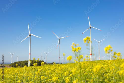 Windpark vor einem Rapsfeld