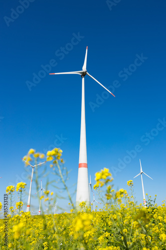 Windpark vor einem Rapsfeld