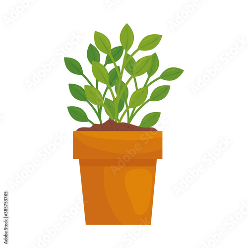 Plant inside pot design of Floral nature garden ornament botany decoration beauty and flora theme Vector illustration