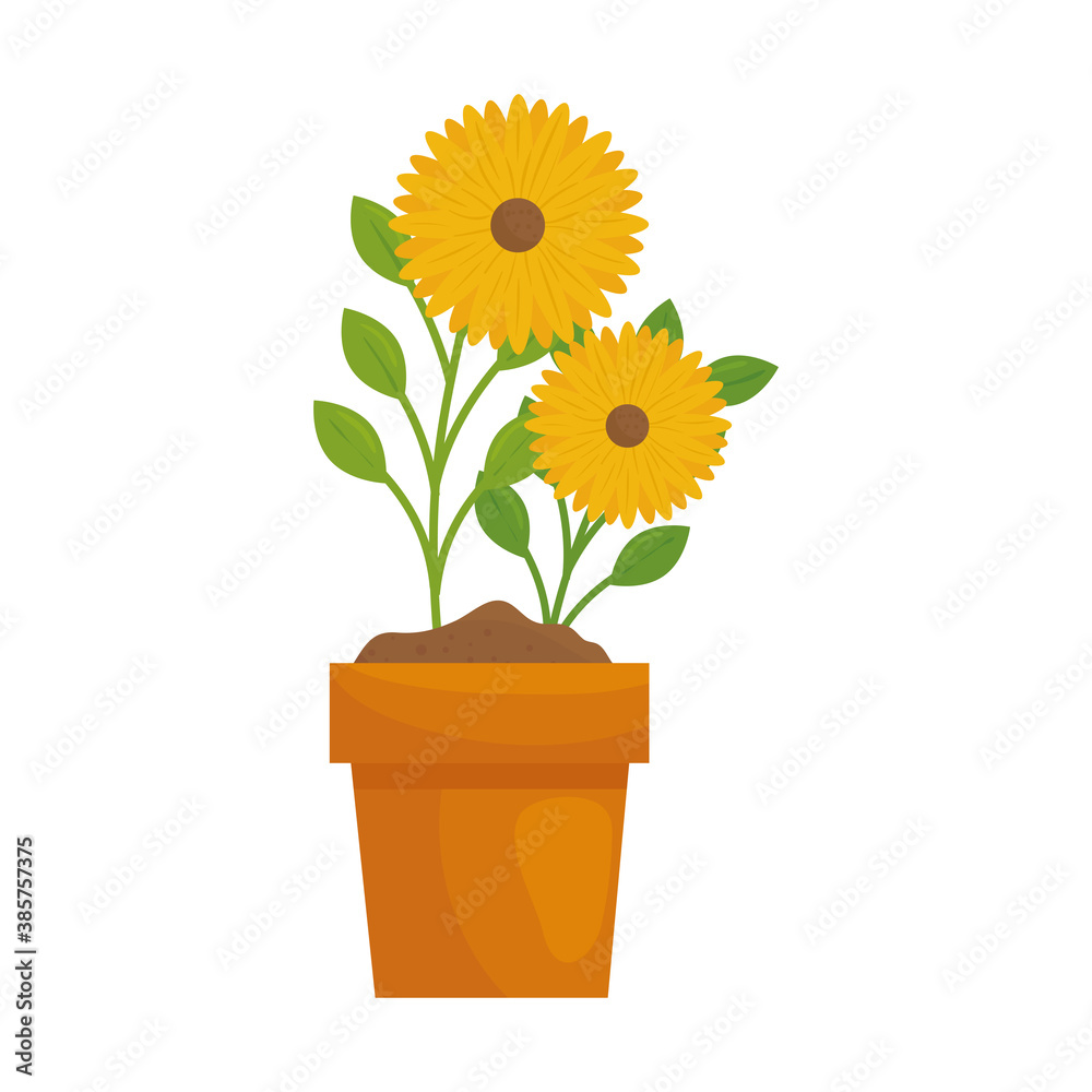 Obraz premium flowers inside pot design of Floral nature garden ornament botany decoration beauty and flora theme Vector illustration