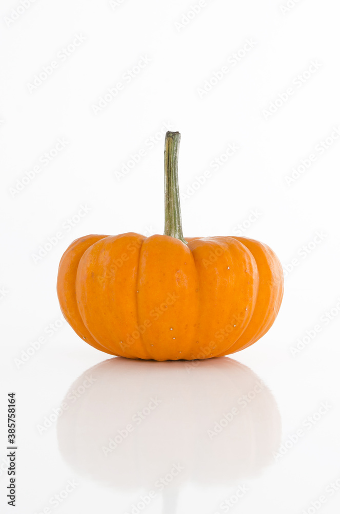Obraz premium Small pumpkin