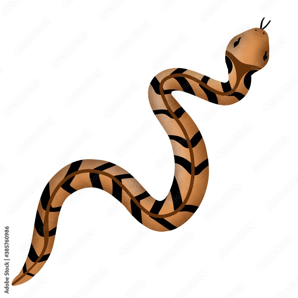 Naklejka premium drawing poisonous snake Crotalus horridus