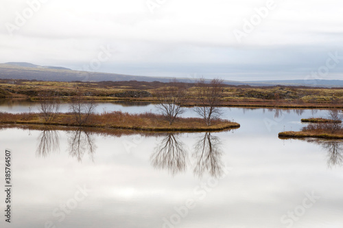 cloudy landscape with reflected trees in the water of Thingvellir National Park