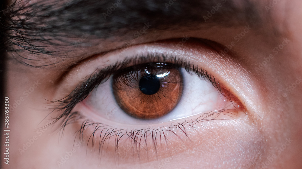 Obraz premium fotografia macro de un ojo 