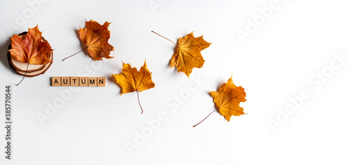 Banner of autumn composition with letters. Frame of autumn dry leaves on a white background. Flat lay, top view, copy space
