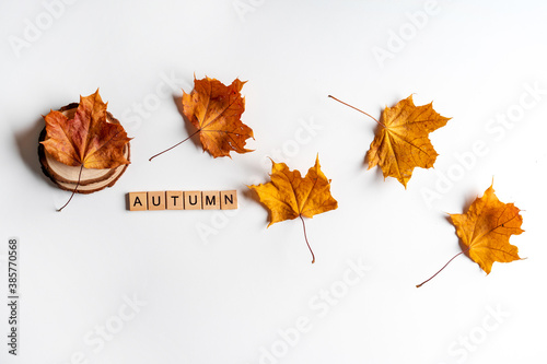 Autumn composition with letters. Frame of autumn dry leaves on a white background. Flat lay  top view  copy space