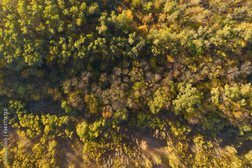 Aerial view of colorful fall foliage. Colourful autumn colours in forest. Aerial view of colorful fall foliage. Colourful autumn colours in forest.