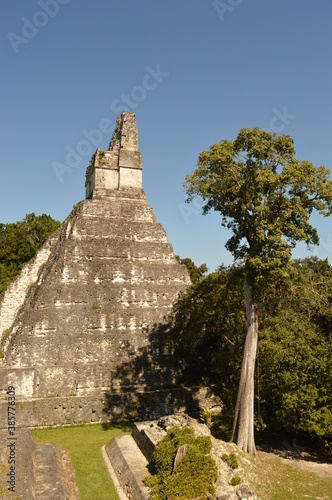 The old Mayan ruins of Tikal in the jungle of Guatemala  Central America