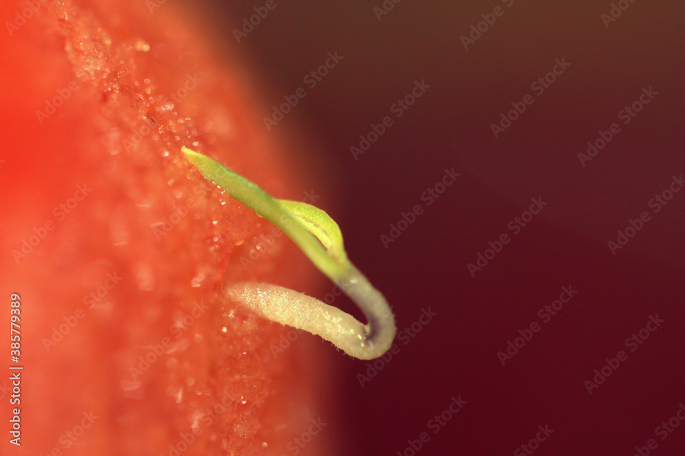 Contradiccion interna