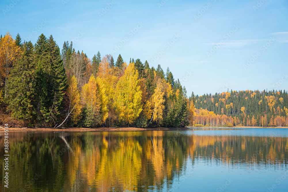 Autumn landscape, picturesque forest with a mirror symmetrical reflection in the river of yellow, Golden foliage. Bright colors of autumn on the trees.
